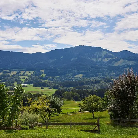 Bergblick *